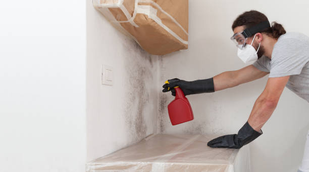Professional Bathroom Mold Removal technician working in Atlantic Highlands, NJ