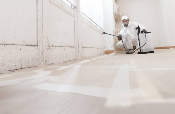 24/7 Emergency Bathroom Mold Removal experts in Atlantic Highlands, NJ